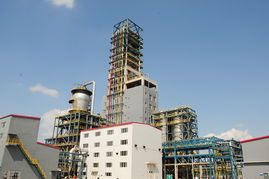 塑料廠成功開發(fā)雙峰聚乙烯新產(chǎn)品，技術(shù)突破引領(lǐng)行業(yè)升級